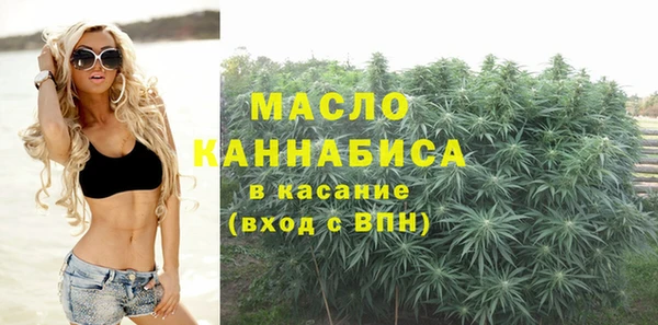 молекула духа Пересвет