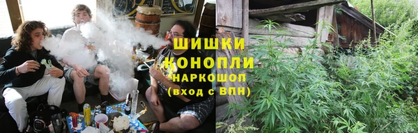 крисы Пестово