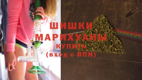 шишки Переславль-Залесский