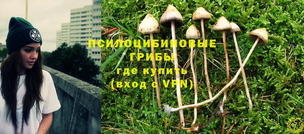 крисы Пестово