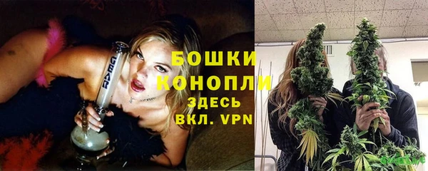 крисы Пестово