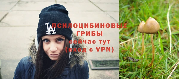 молекула духа Пересвет