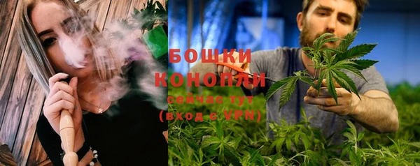 крисы Пестово