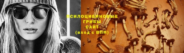 крисы Пестово
