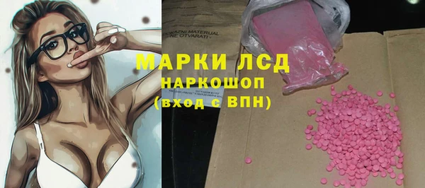 молекула духа Пересвет