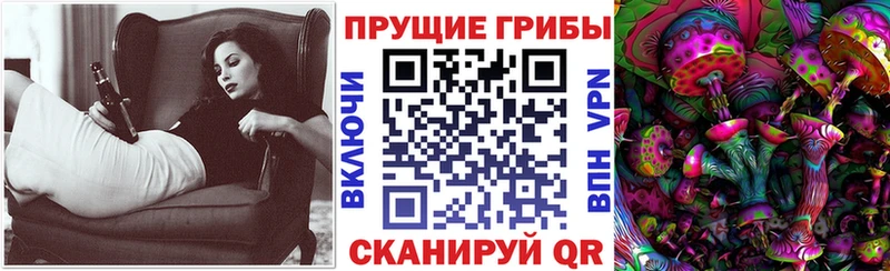 Псилоцибиновые грибы GOLDEN TEACHER  Купить  Джанкой 